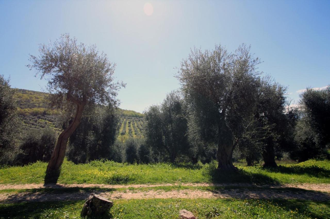 Masseria Procacci Ischitella Extérieur photo